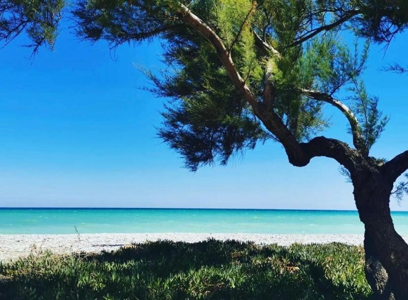 Apartmán Magnifico Piso Con Vistas Al Mar En Moncofa Moncófar Exteriér fotografie